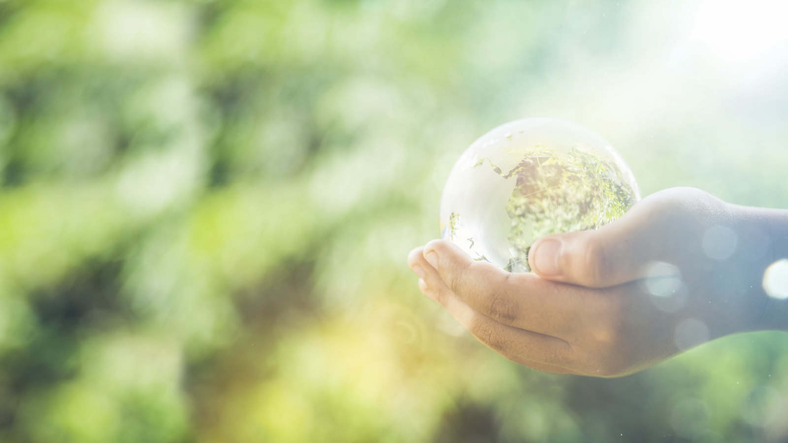 Protecting your assets