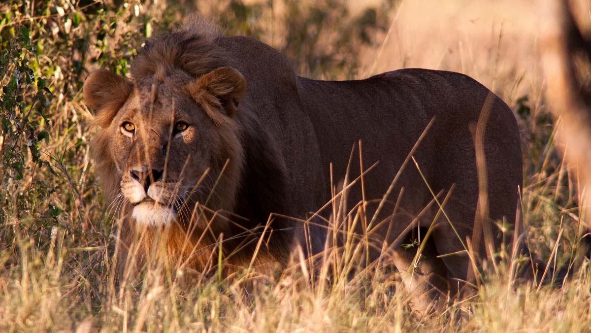 Ambushing our conversations