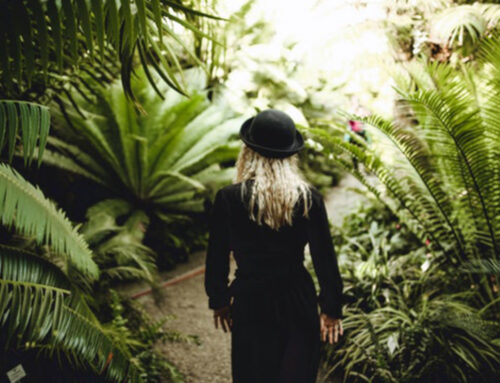 Going Gray: When did my hair become part of my resume?